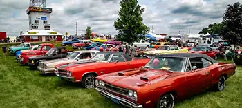 Show and Competitions